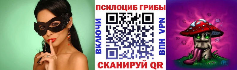 хочу   Сланцы  Псилоцибиновые грибы прущие грибы 